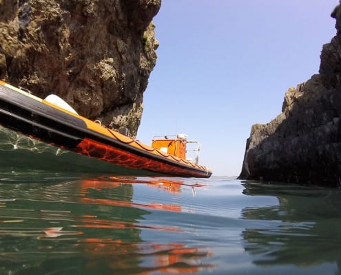 Falcon Boats