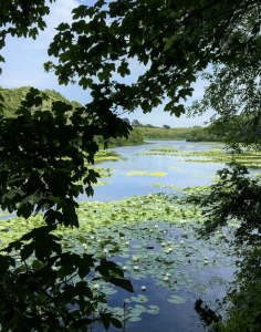 holidays in pembrokeshire bosherston