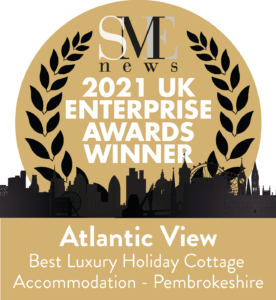 2021 UK Enterprise Award Winner